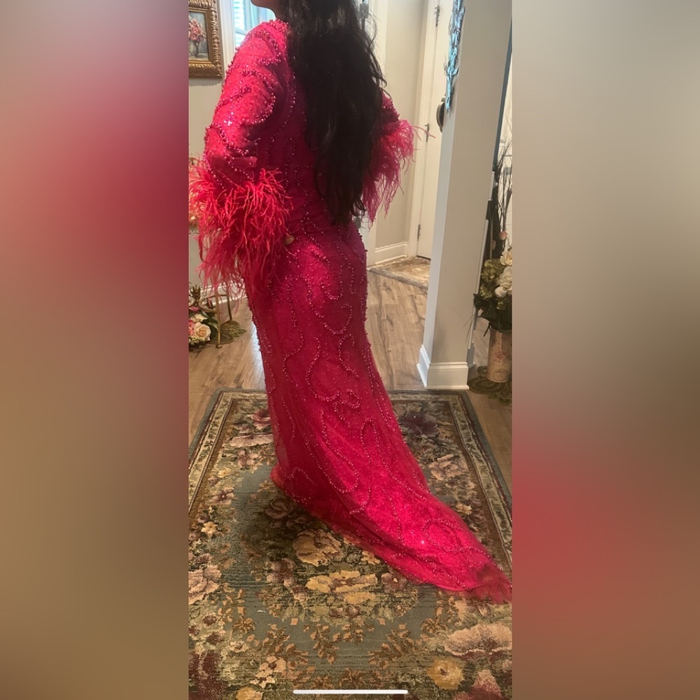 Elegant hot pink Feathered Gowned - Picture 3 of 8